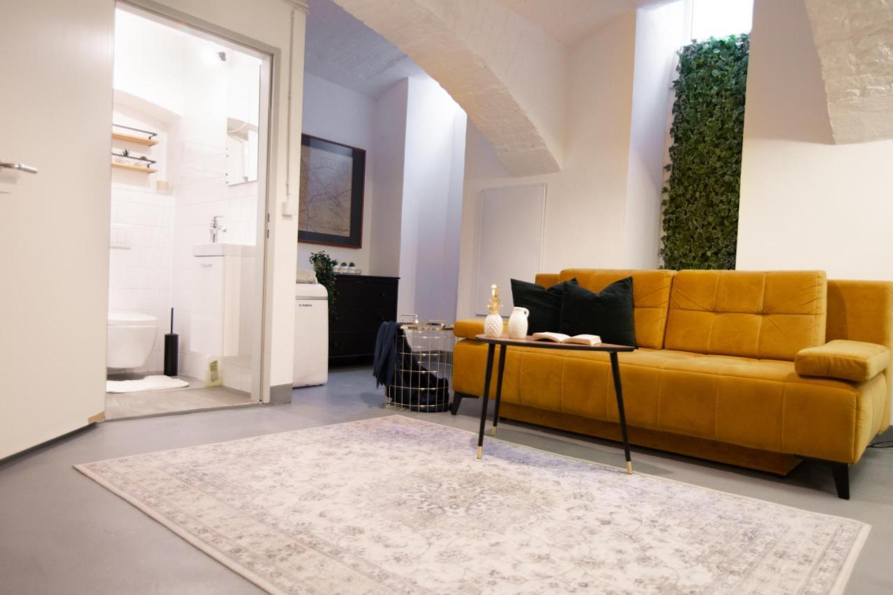 Vintage Loft Im Zentrum Apartment